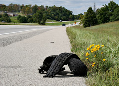 tire-summer-heat-roadside-blowout-thumb-240xauto-5110